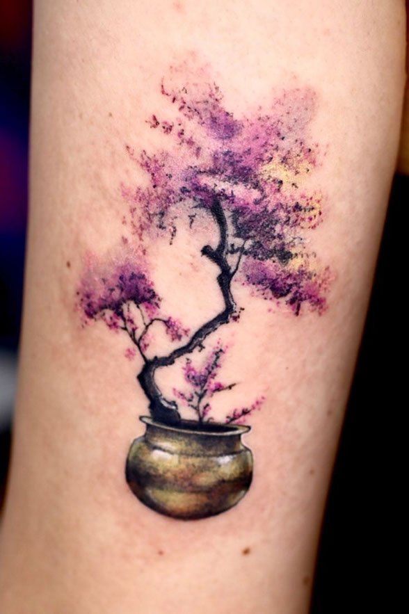 Bonsai